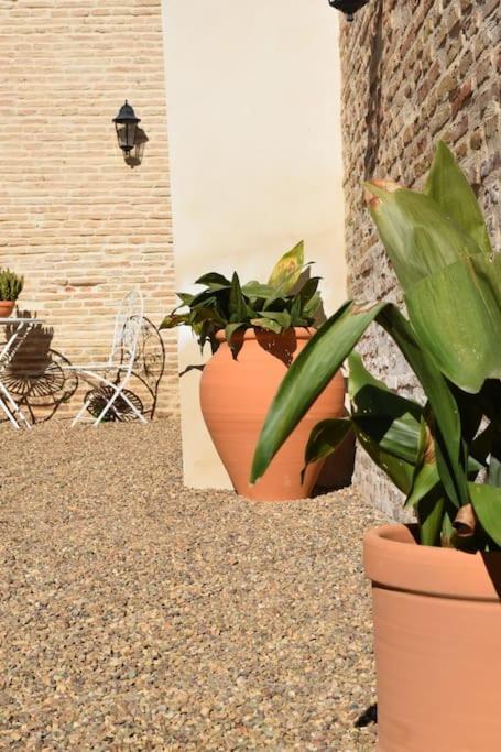 Casa De La Abuela Dolores Villaverde del Rio Zewnętrze zdjęcie
